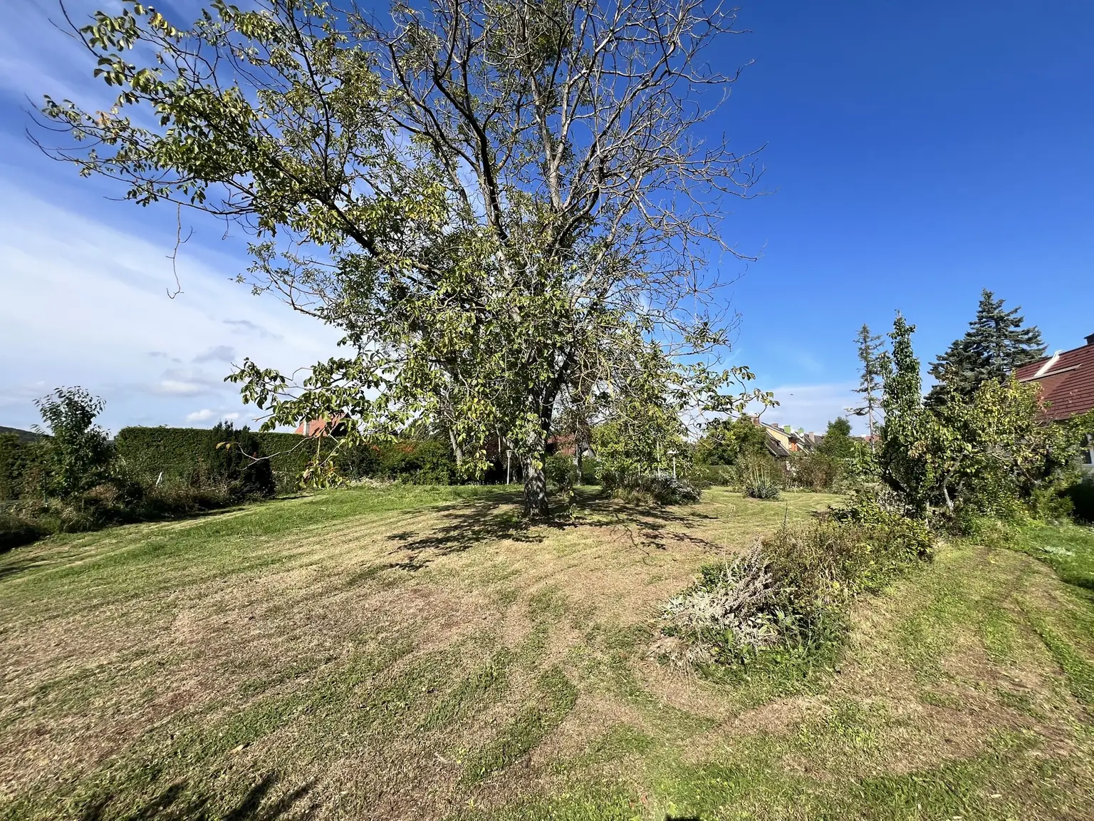 Baugrundstück Nr.1 in toller Lage