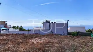 TOP-AS - Plot Tejina-10