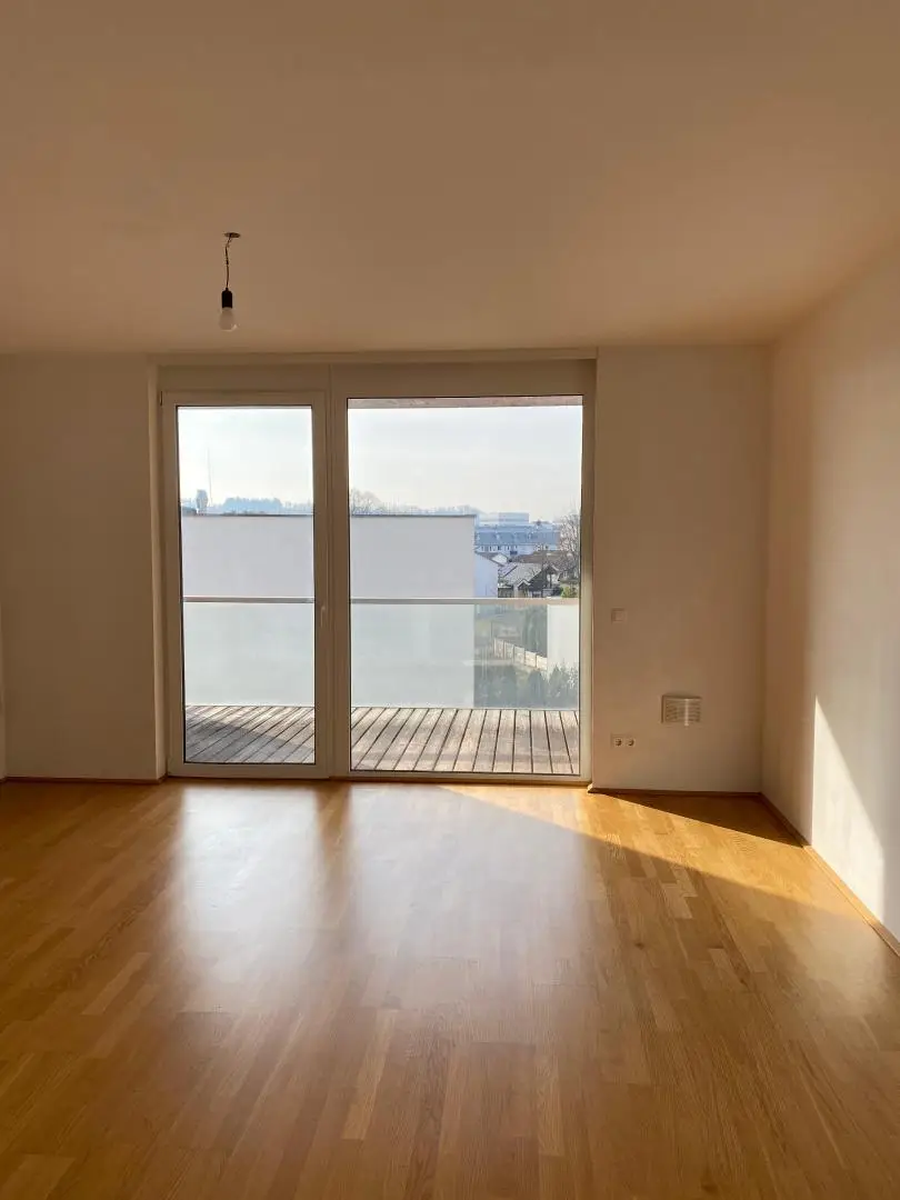 Wohn-, Ess- und Schlafbereich leer