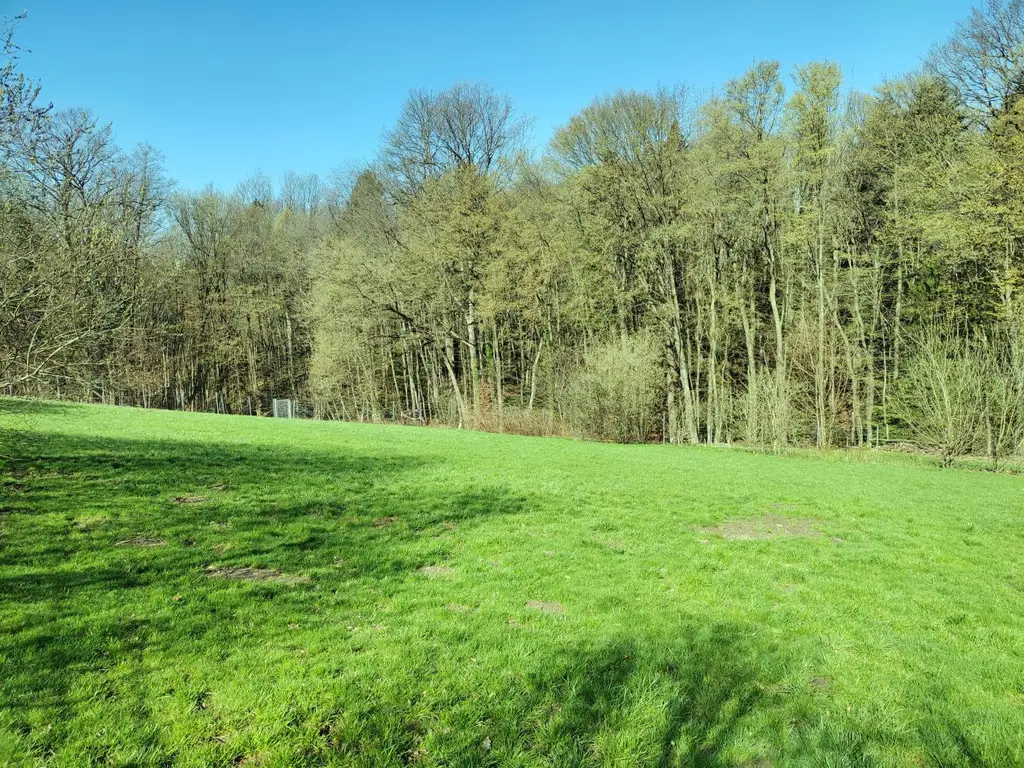 Grundstück sucht eine Familie mit Hausbauwunsch!