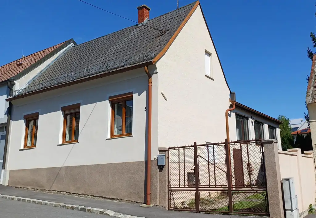 Einfamilienhaus, teilunterkellert mit Nebengebäuden und Garten