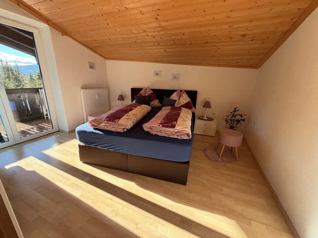 Ski-in / Ski-out - Apartment mit touristischer Nutzung in Mühlbach am Hochkönig, Ski Amade