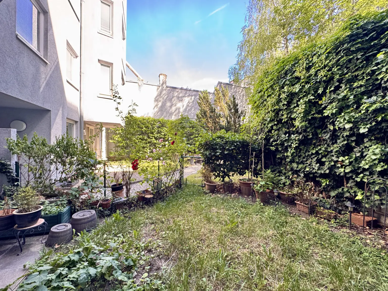 Garten 2