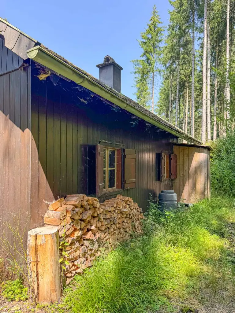 PERFEKTER HOBBY-WALD mit Arbeitshütte !