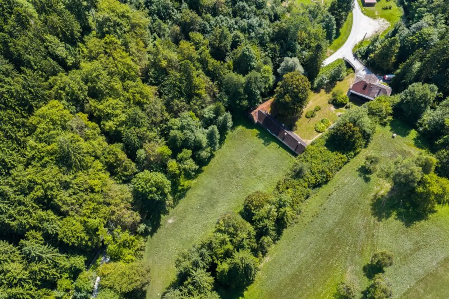 Ehemaliges Forsthaus mit Wirtschaftsgebäuden, allein und ruhig im Wald gelegen.