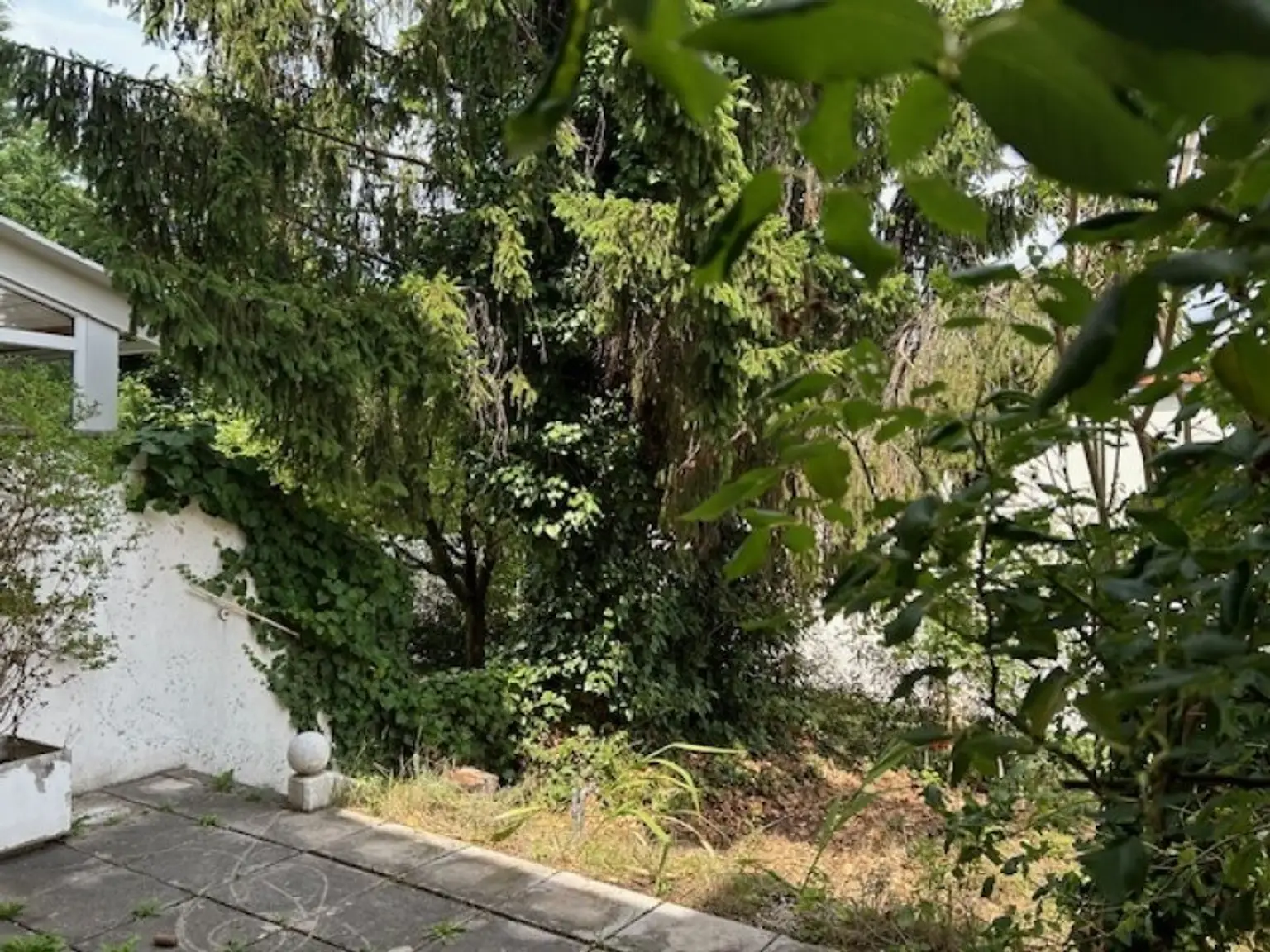 +TOP ANGEBOT € 444.444.- + REIHENHAUS in idyllischer RUHELAGE mit romantisch gepflegter GARTENANLAGE - Eigentum mit Terrasse, VOLLKELLER und Garage!