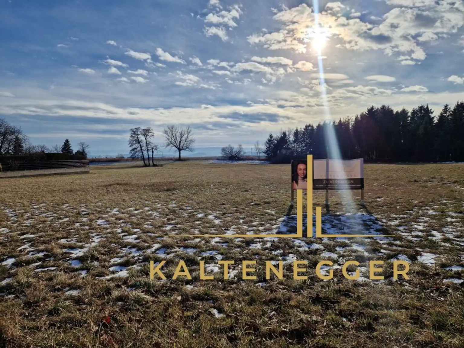 Grundstücksansicht von vorne