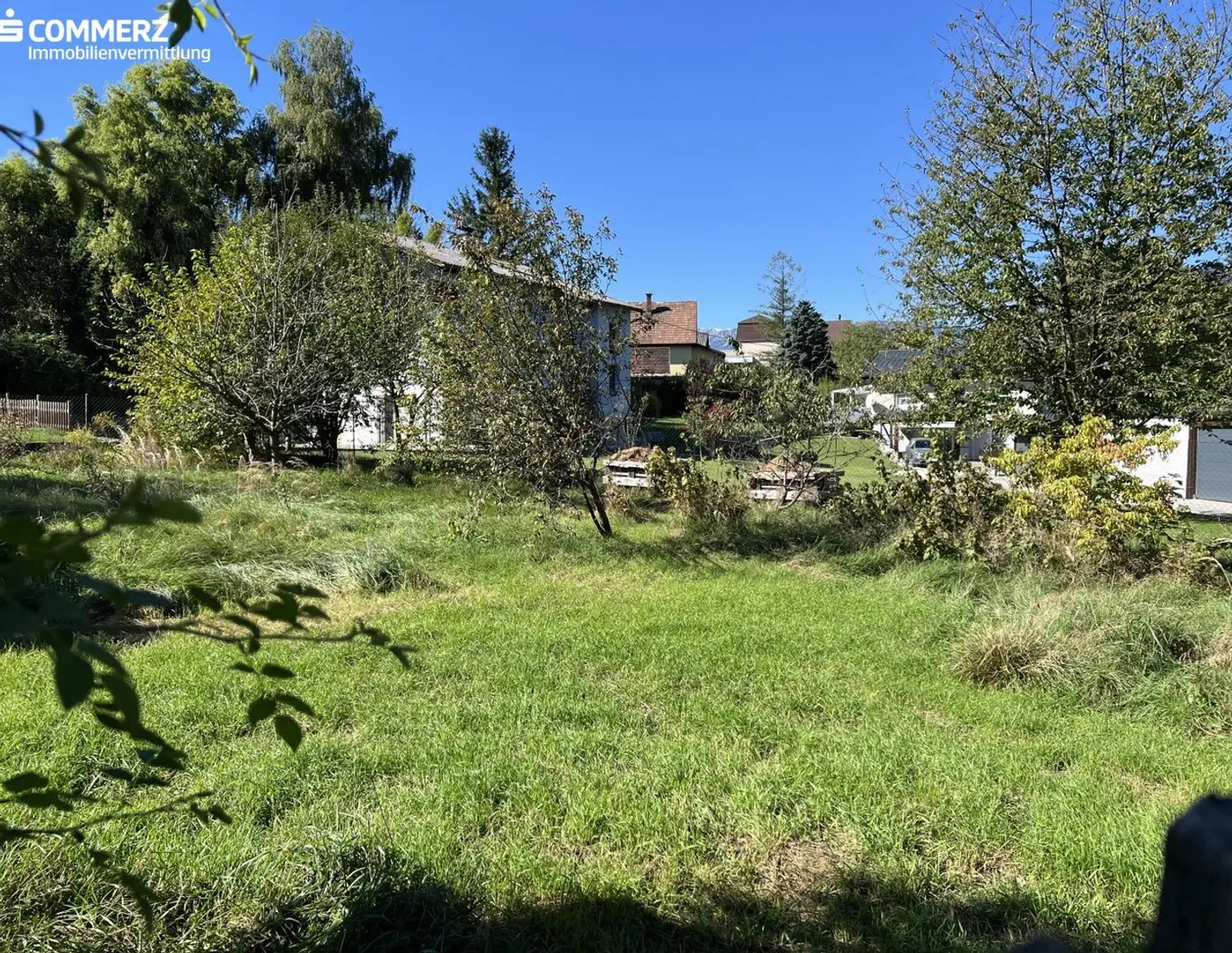 Grünblick in Pettenbach