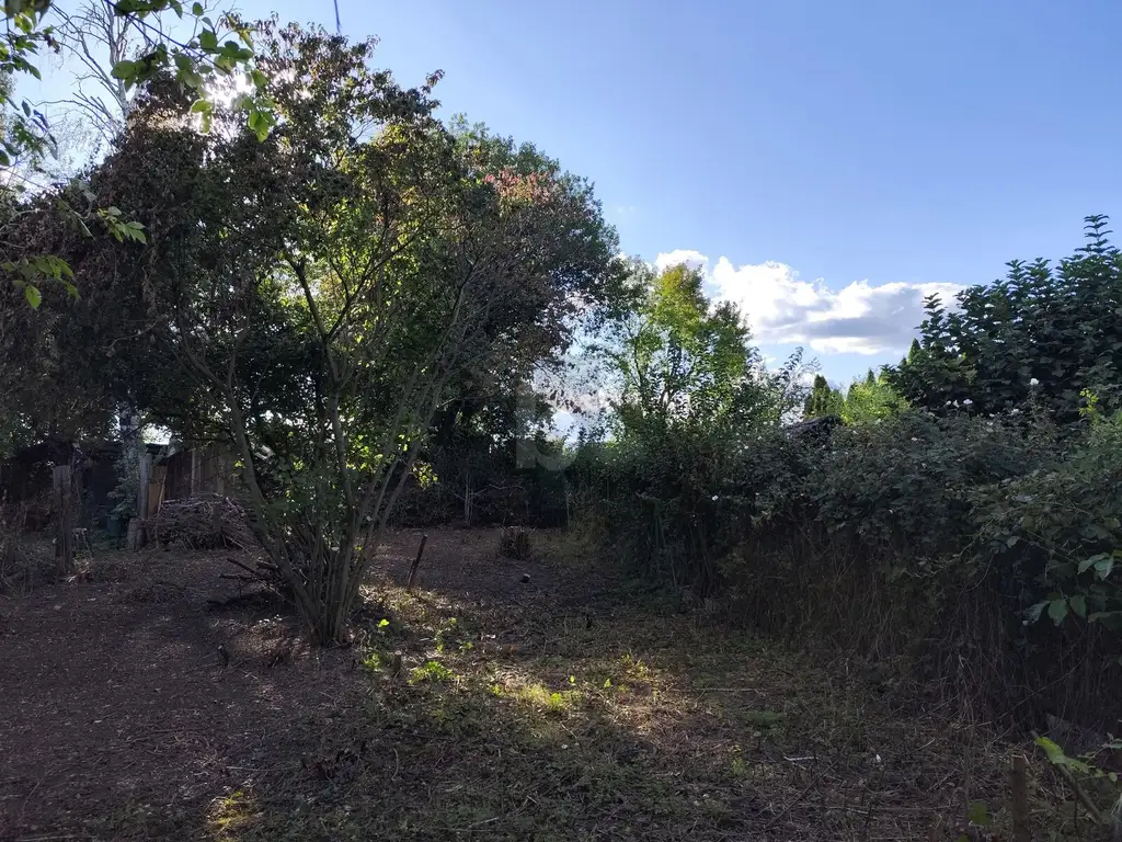 DEIN GRÜNES PARADIES WARTET: RÜCKZUGSORT MIT VIEL PLATZ