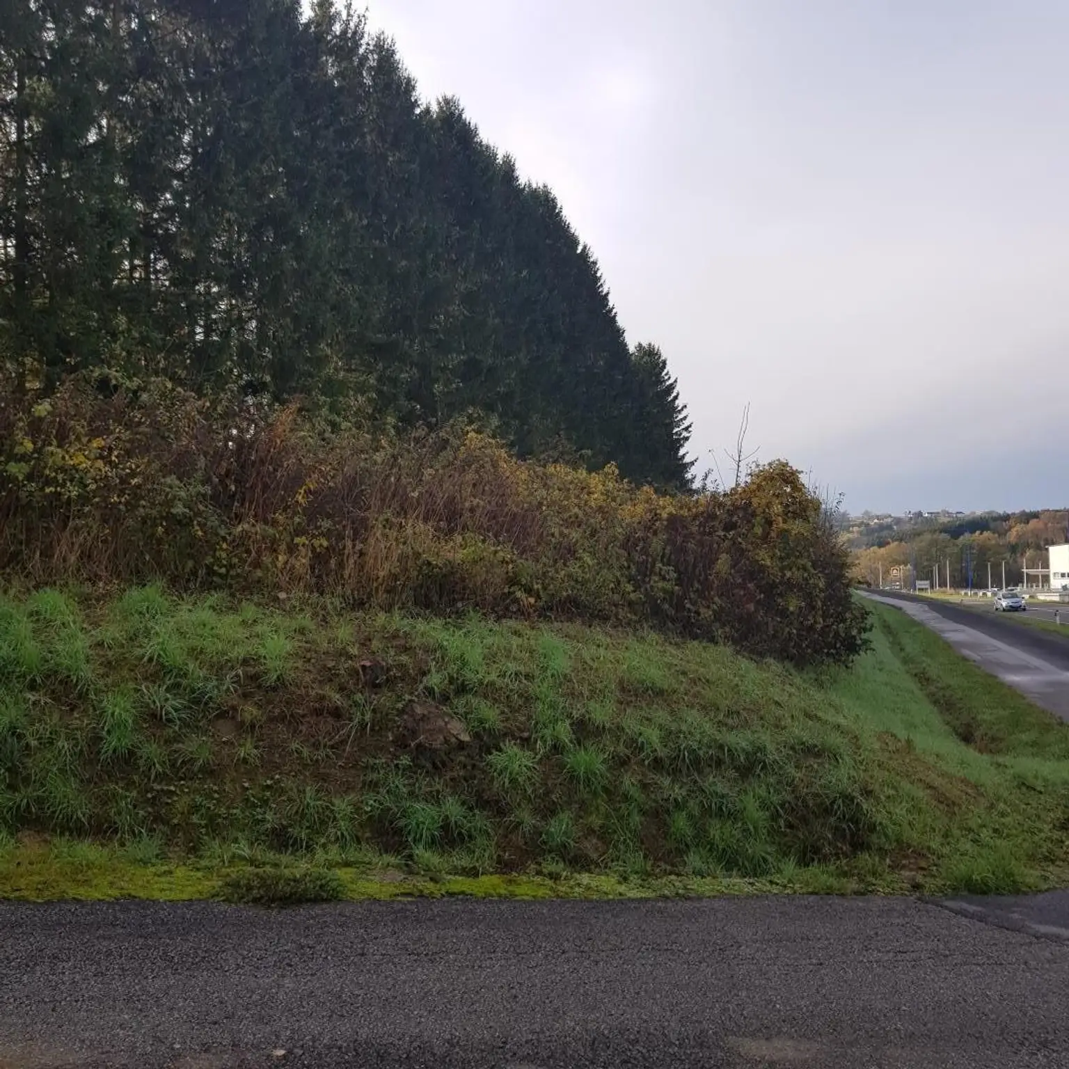 Grundstück mit Zufahrtsweg