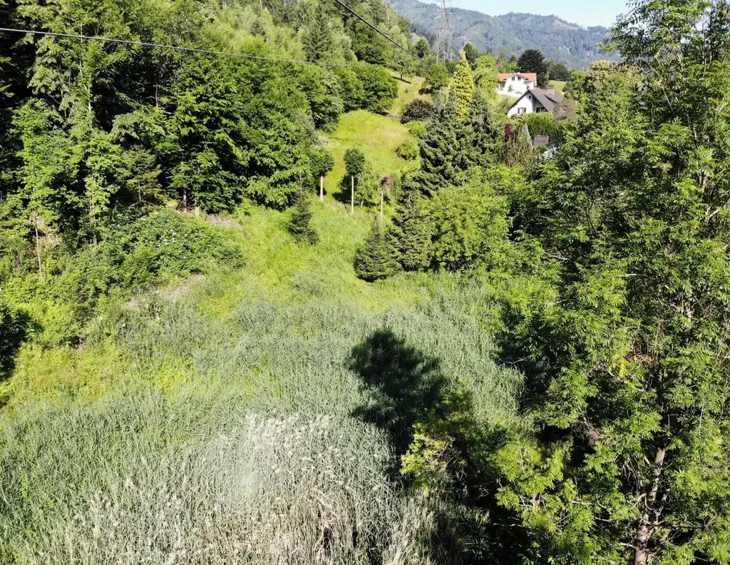 Großzügiges Grundstück - auch als Gartengrund nutzbar - in ruhiger Lage- provisionsfrei für die Käufer!