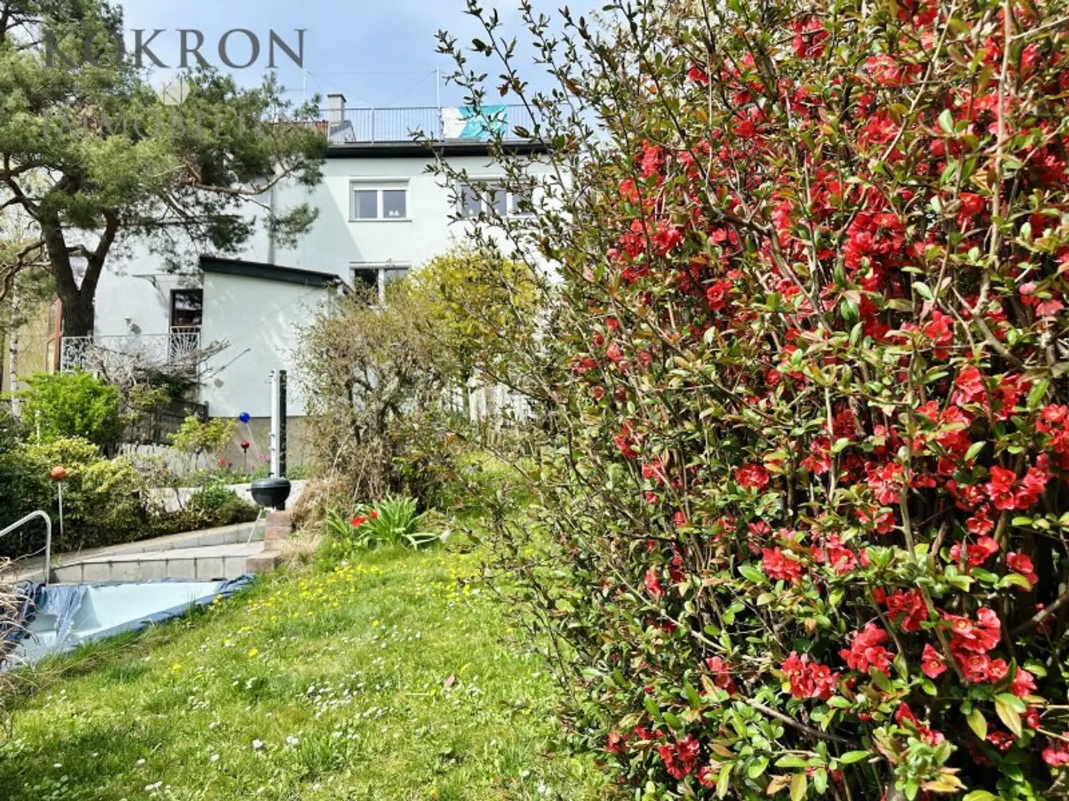 TRAUMLAGE am Wolfersberg mit Fernblick! Großzügiges Einfamilienhaus mit Garten, Dachterrasse und viel Platz!