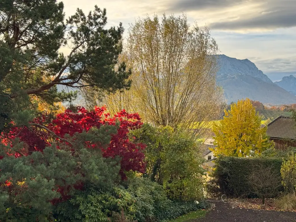 Wohnen und Arbeiten mit Weitblick!