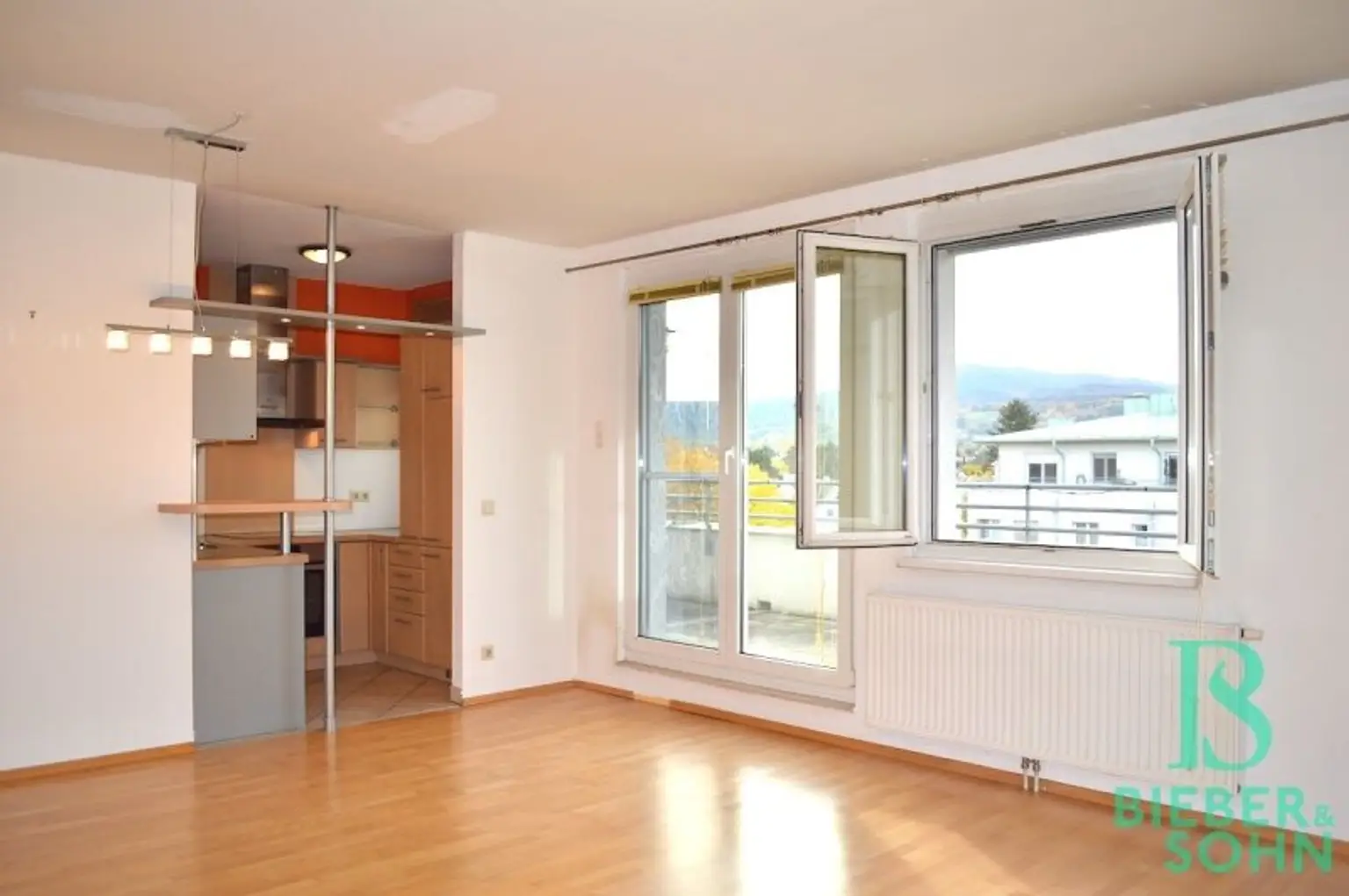 Wohnzimmer, Küche, Essbereich