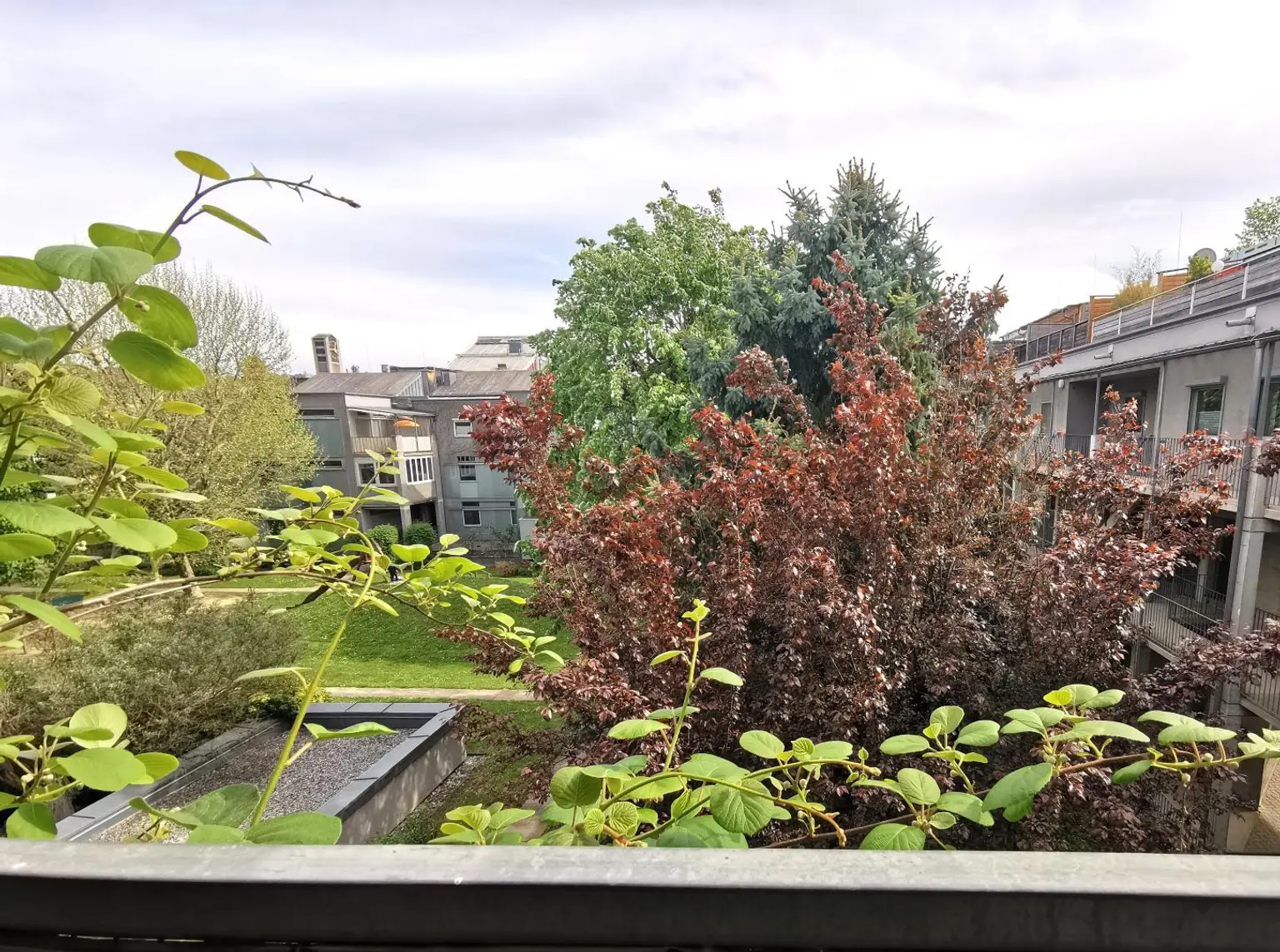 Ausblick Balkon Untergeschoss