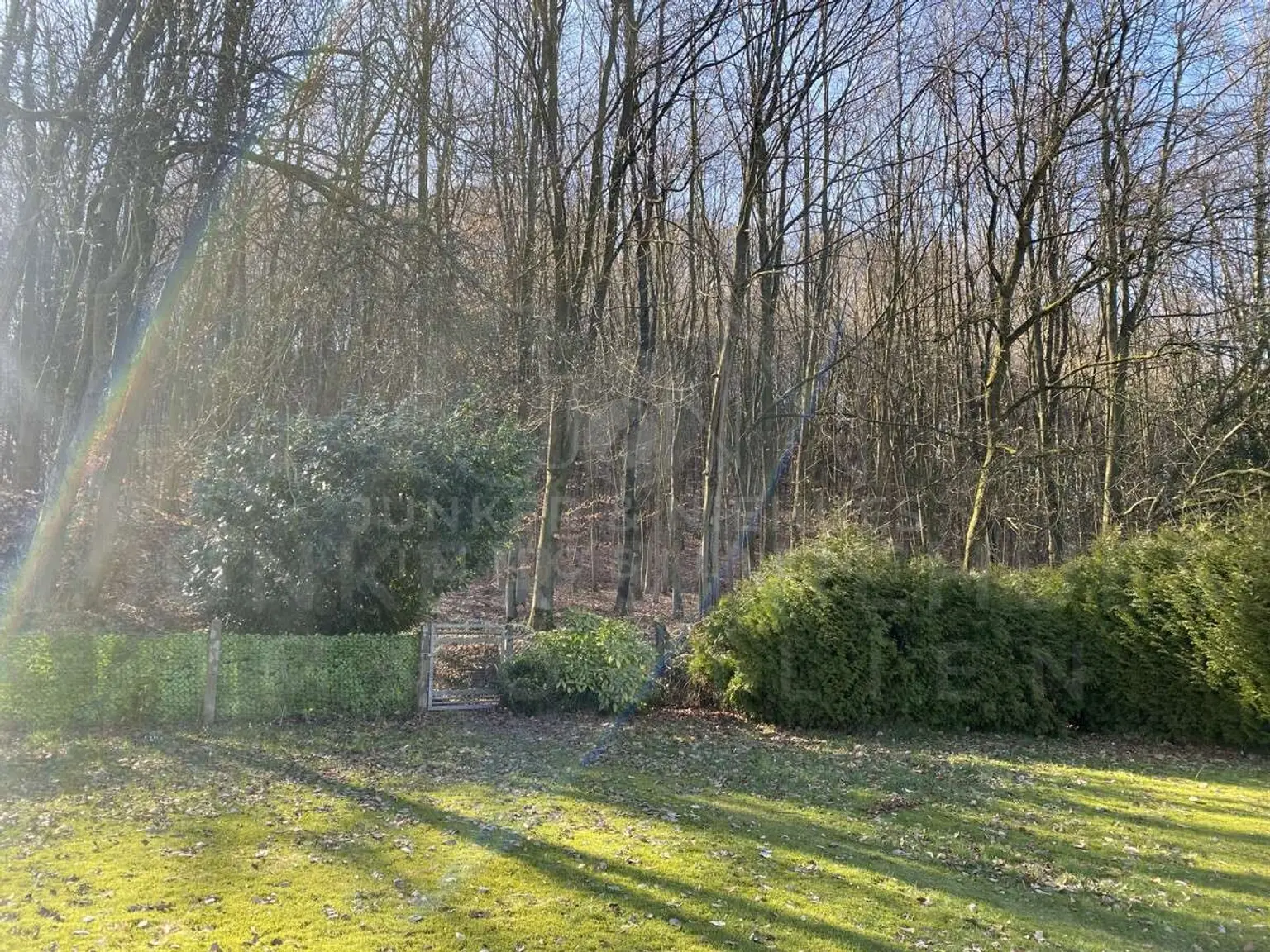 Zugang zum Wald