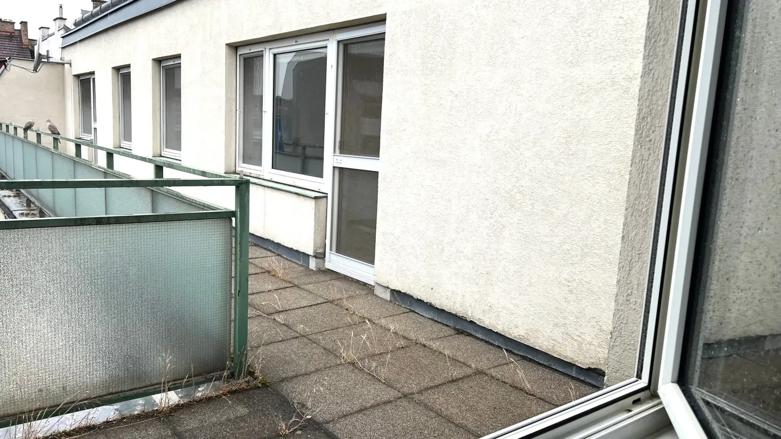 Blick aus der Küche