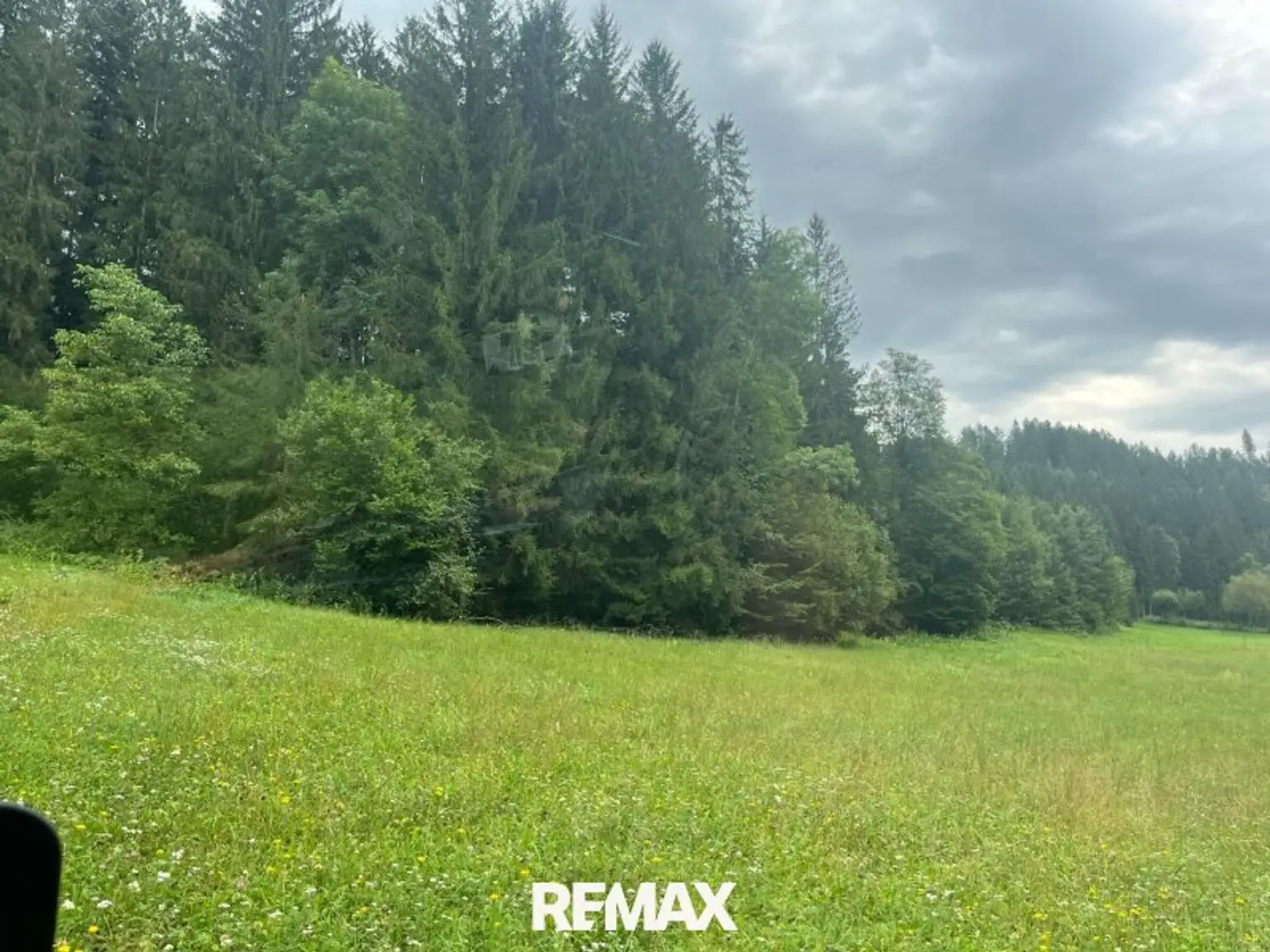 Wiesenfläche