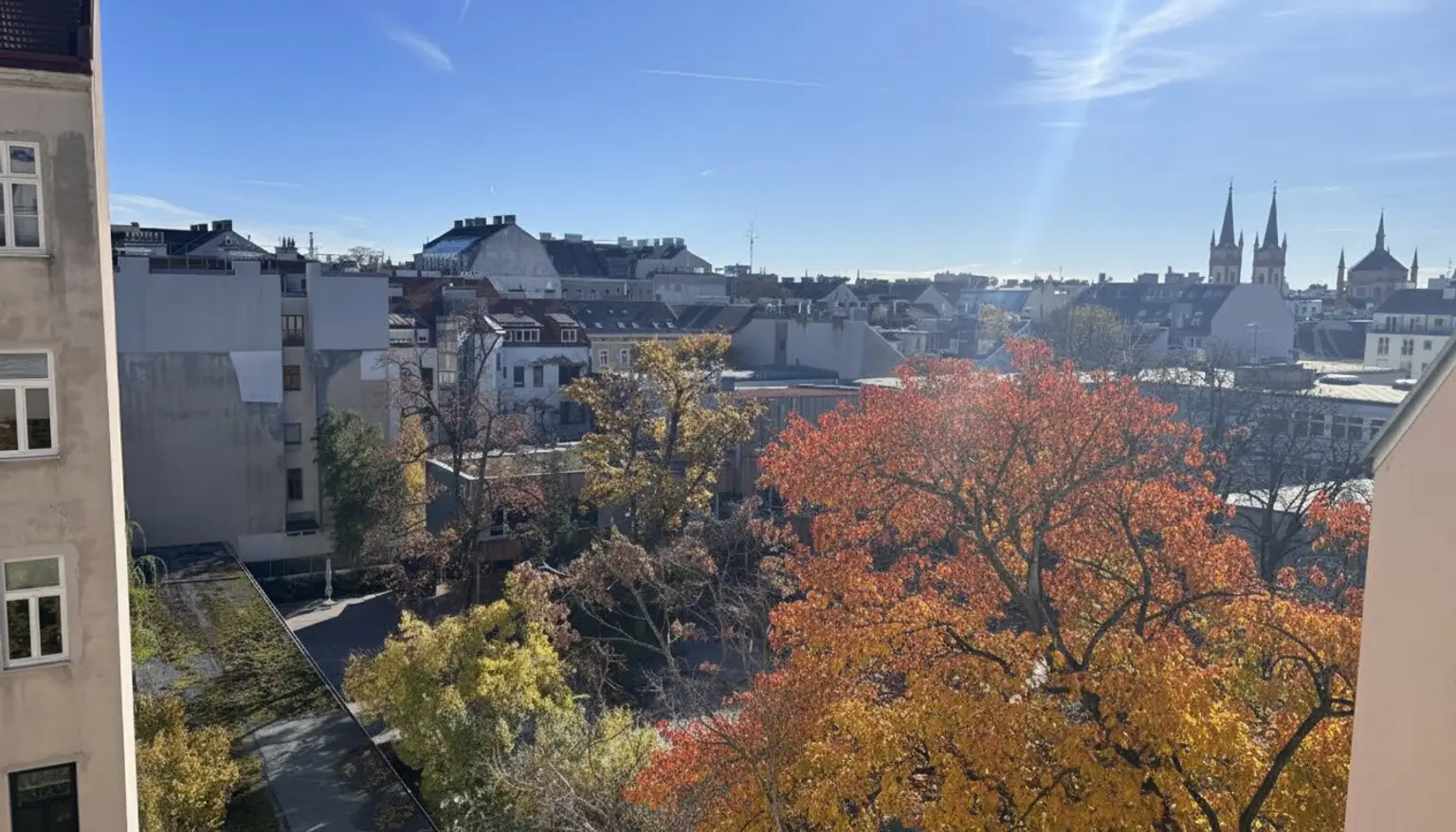 Grünblick mitten in der Josefstadt