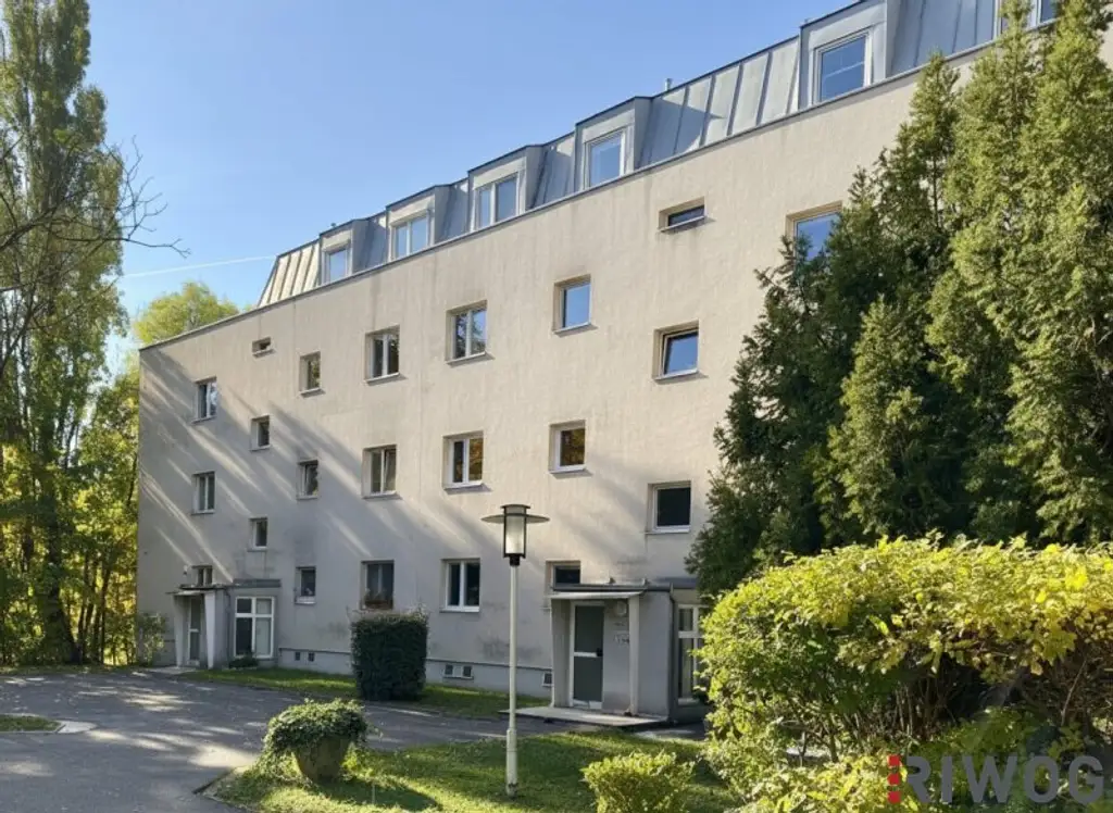 ERSTBEZUG nach Sanierung I 3 Zimmer Wohnung mit Balkon in wundervoller Grünlage I Tischler Einbauküche inkl. Siemensgeräte im Preis inbegriffen