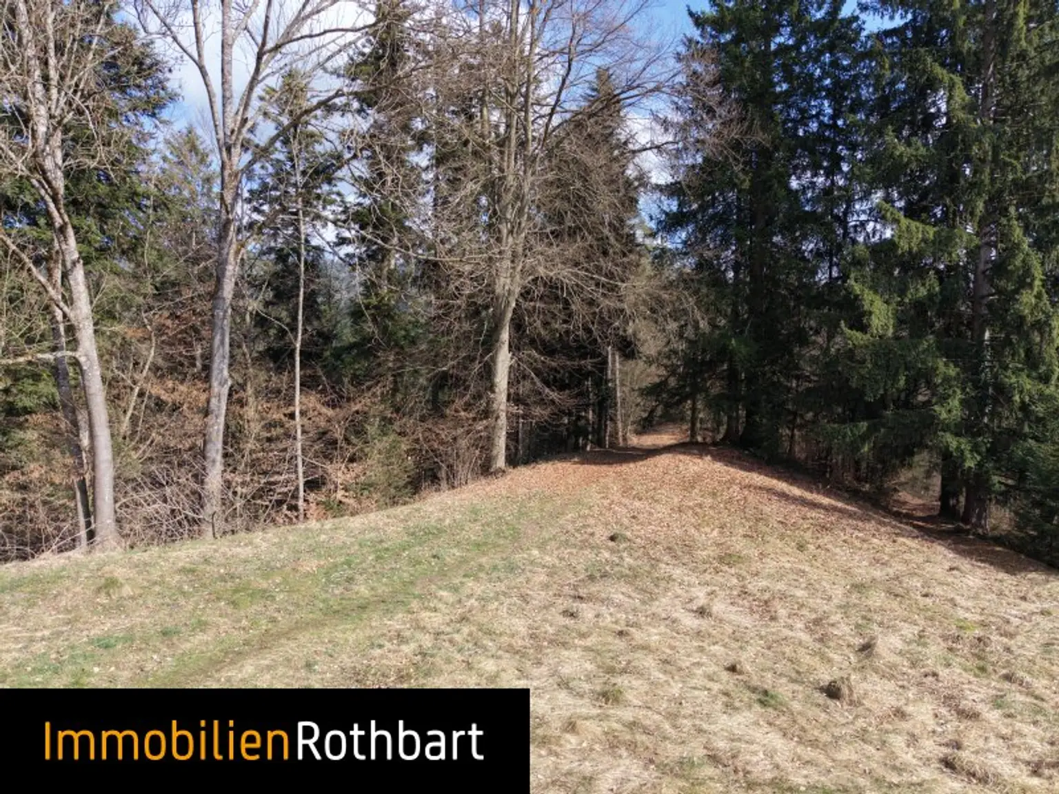 Wald mit Wiese und Zinshaus!