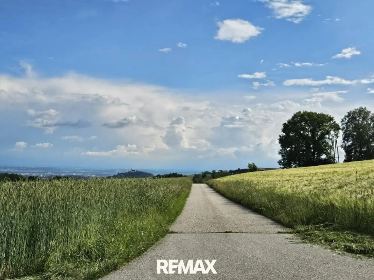 auf dem Weg zum Grundstück