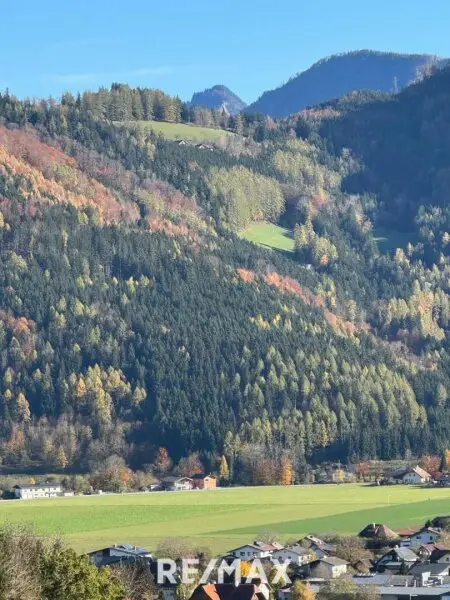 am Berg auf einer großen Lichtung alleine WOHNEN