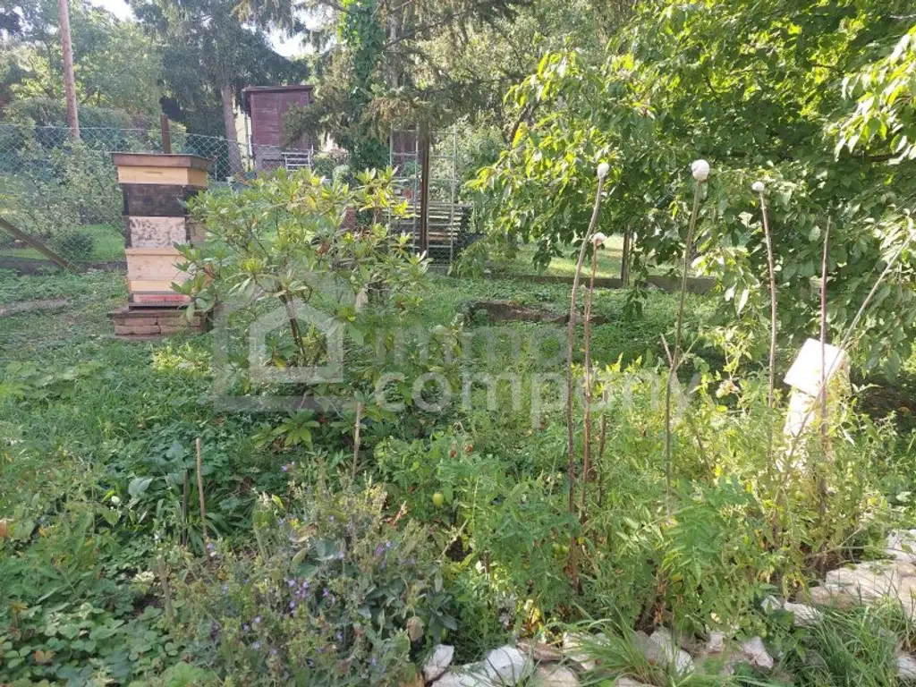 Traumgrundstück in Wien Hietzing mit einzigartigem Ausblick!