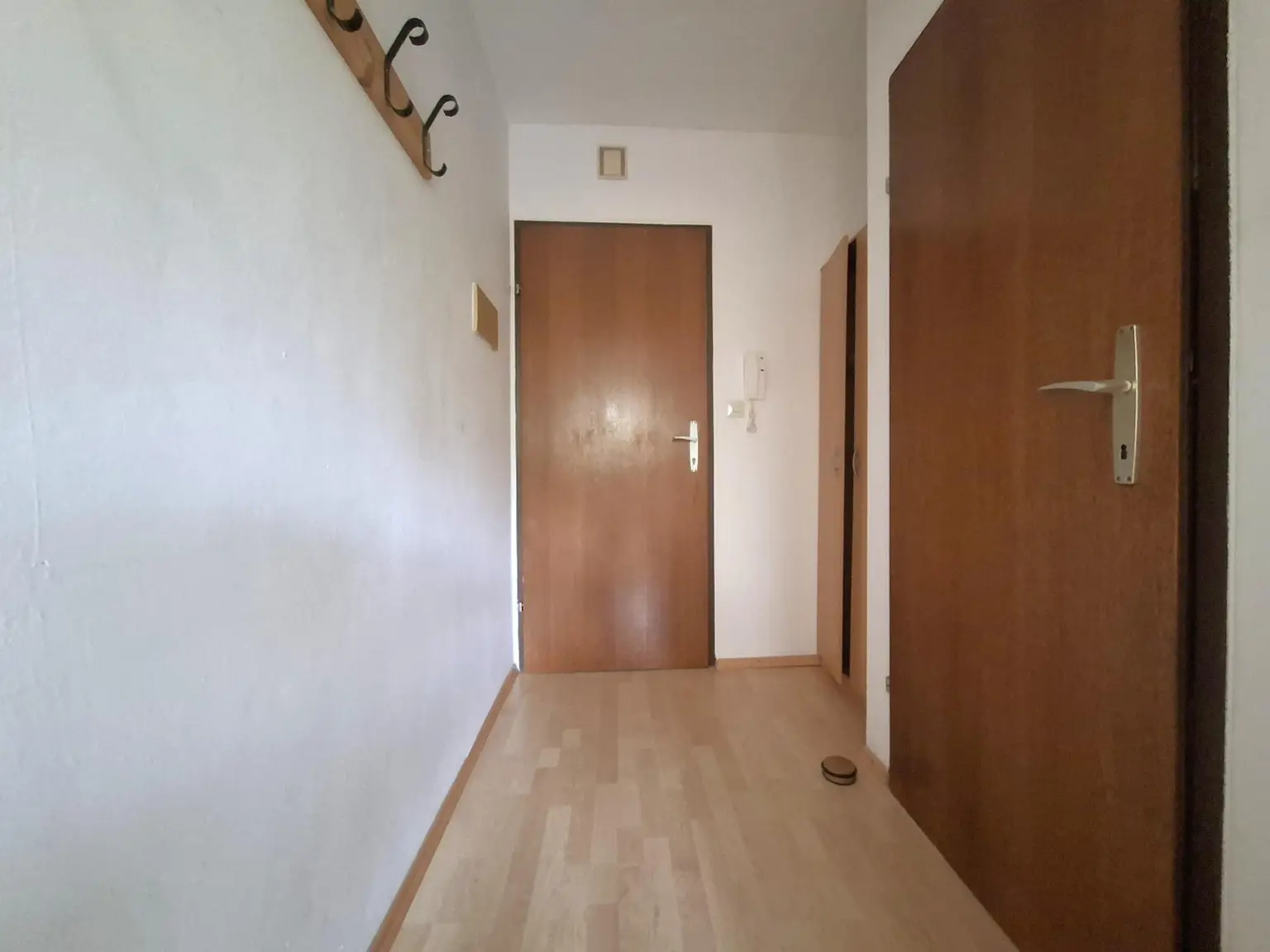 Garconniere in Mattsee - Gemeinschaftsgarten mit Seeblick