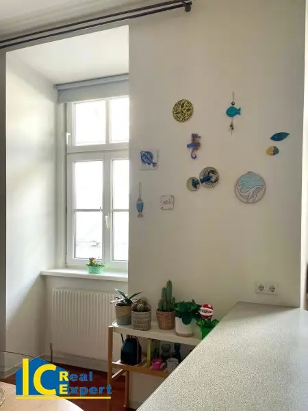 Großzügige Stadtwohnung im Biedermeierhaus, –schön, gepflegt und mit Garage!