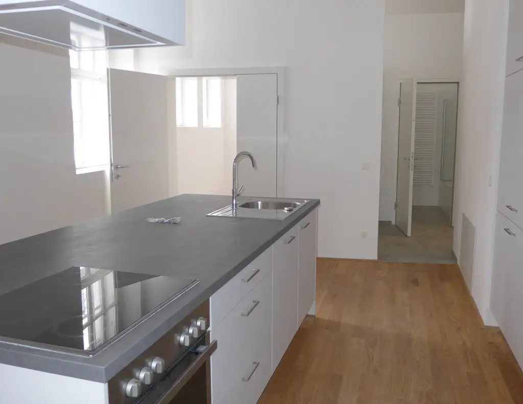 Schöne großzügige Wohnung mit Loggia, nahe dem Brucknerhaus