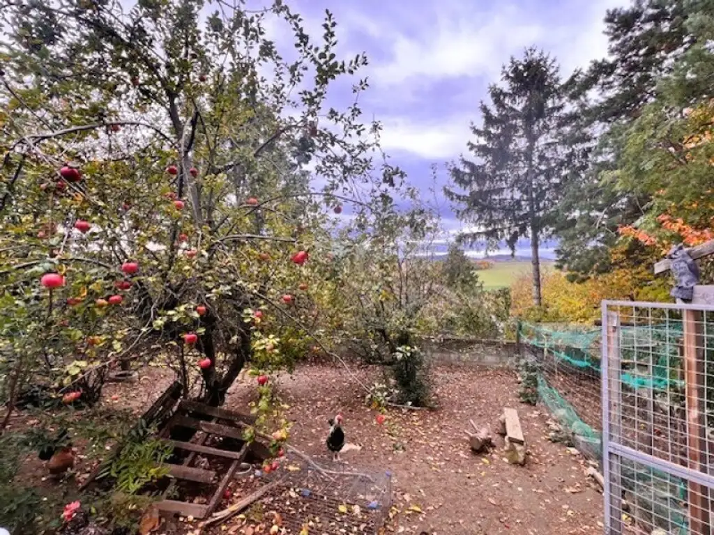 Selbstversorger Hof für die ganze Familie in ruhiger Lage und tollem Fernblick!