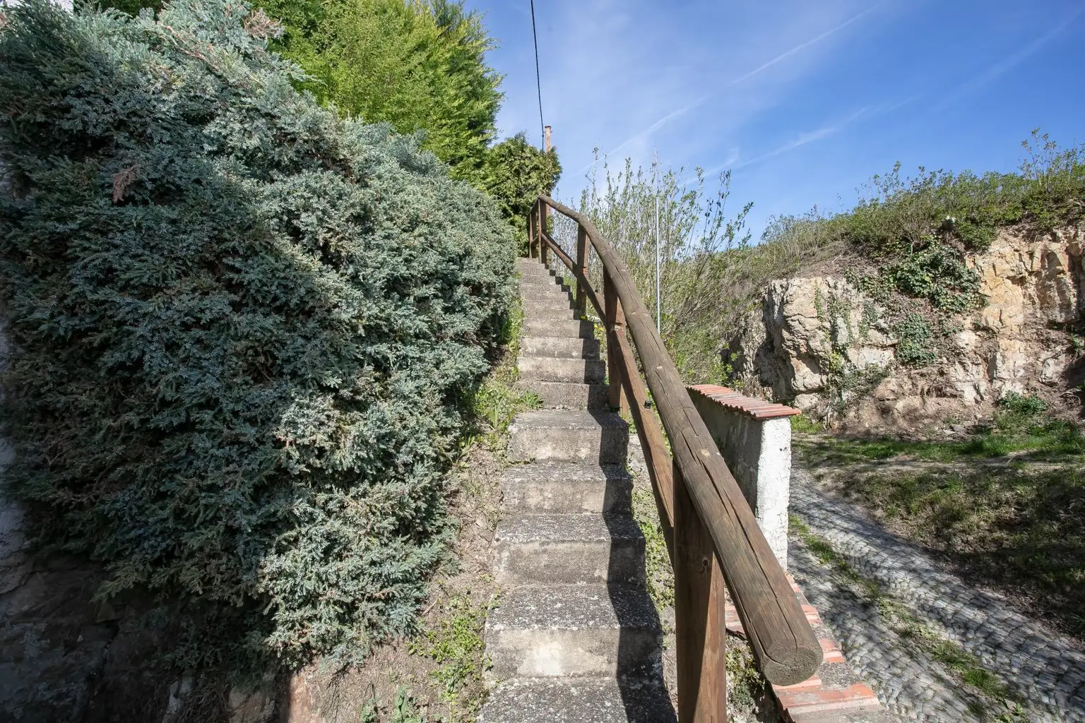 Zugang Garten