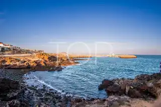Paseo6