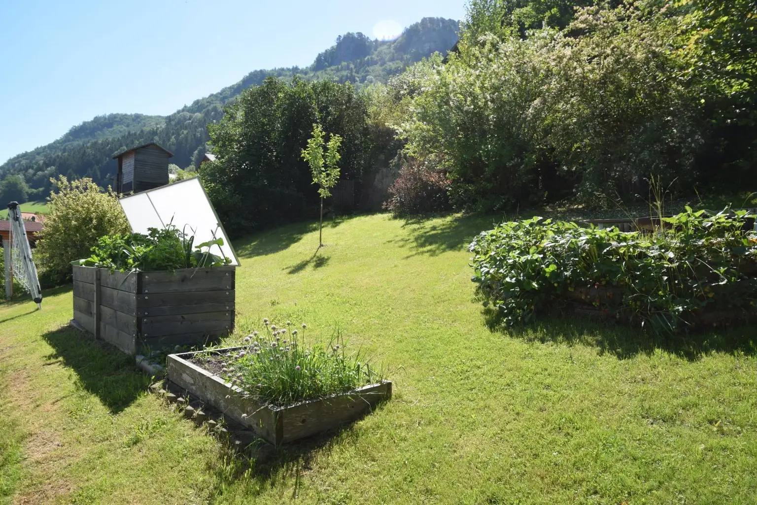 Gemüsegarten