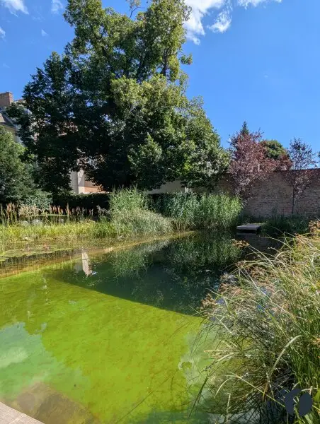 Exklusives Refugium mit Schwimmbiotop – Stilvoll möbliertes 2-Zimmer-Apartment in Ruhelage