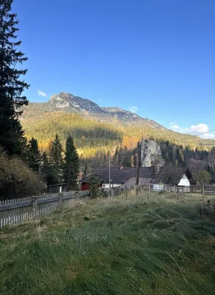 MEHRPARTEIENHAUS IN NEUBERG - BAURECHTSANGEBOT