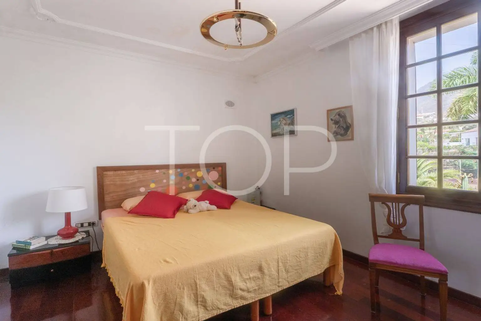 Finca-Candelaria33