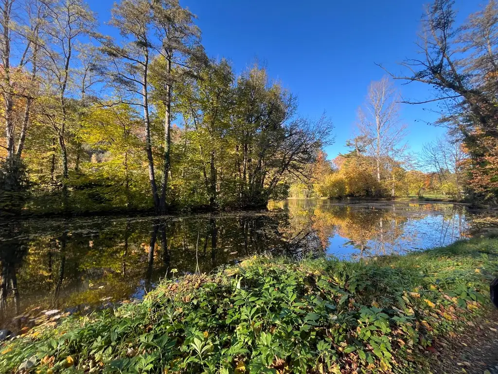 Wohnen wie im Urlaub - Bungalow im Schlosspark von Seebenstein zu mieten!