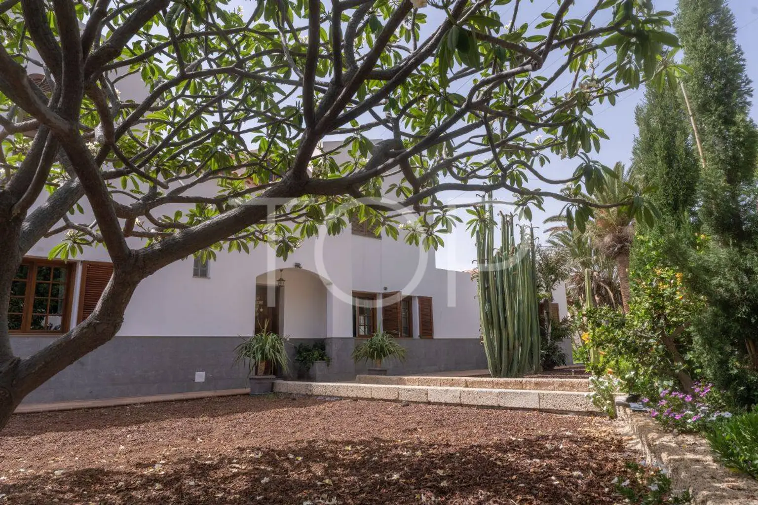 Finca-Candelaria41
