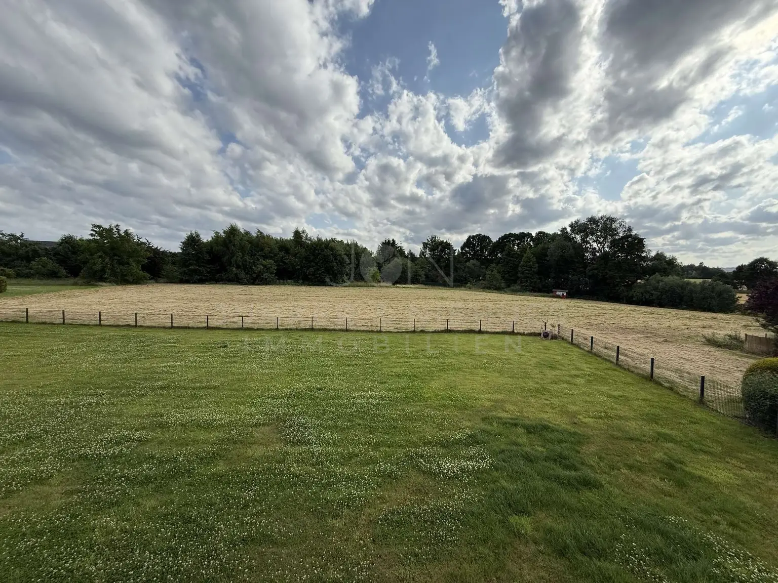 Blick ins Grüne