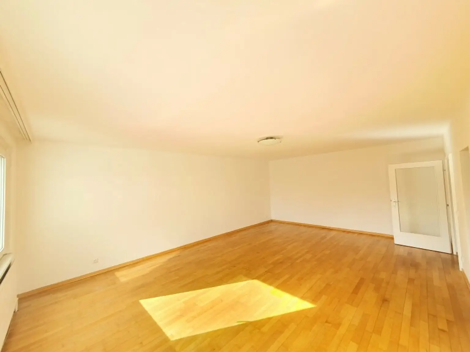 Hermanngasse - Moderne Singlewohnung in gesuchter Lage