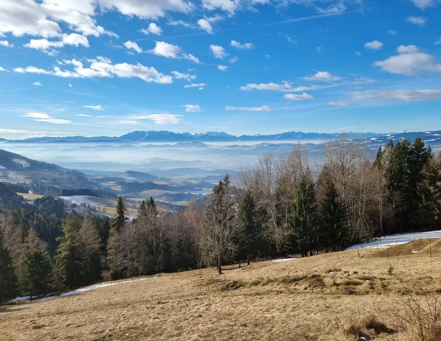 Exklusives Naturchalet auf der Koralpe - Ihr perfekter Zweitwohnsitz in Kärnten