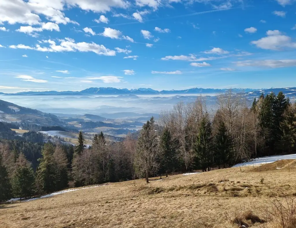 Exklusives Naturchalet auf der Koralpe - Ihr perfekter Zweitwohnsitz in Kärnten