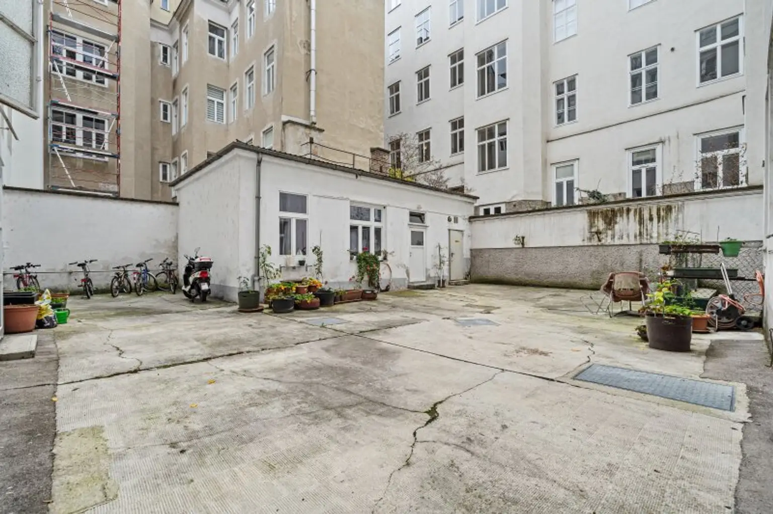 4-Zimmer-Altbaujuwel im Fasanviertel