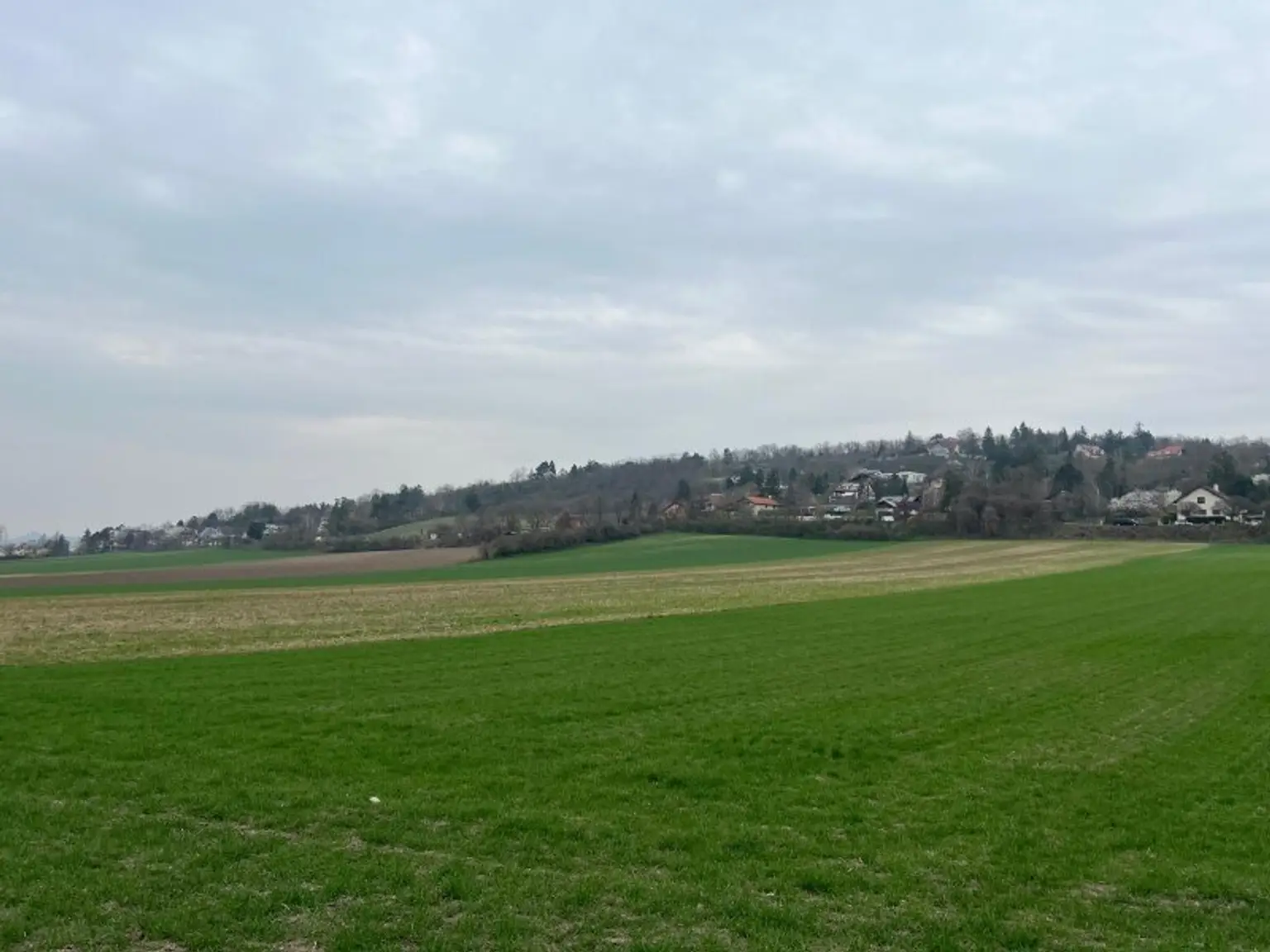 Südseitiger Baugrund in Toplage – sonniges Grundstück mit Fernblick, Potenzial & genehmigtem Bauprojekt