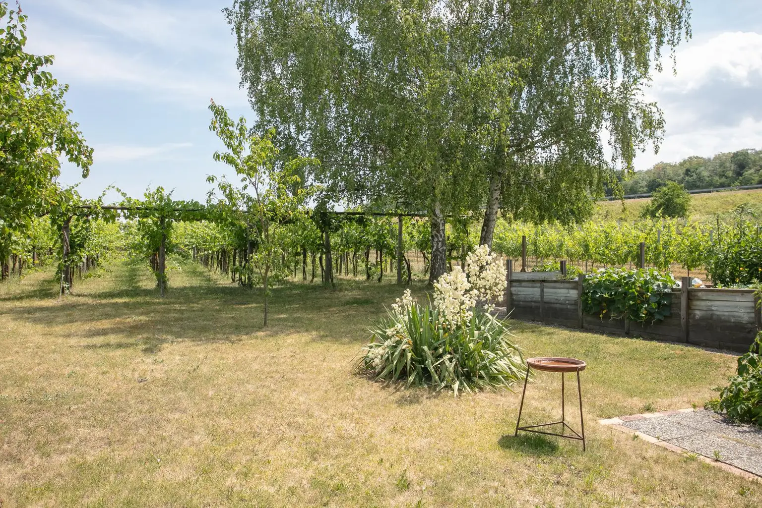 Garten Ansicht 1