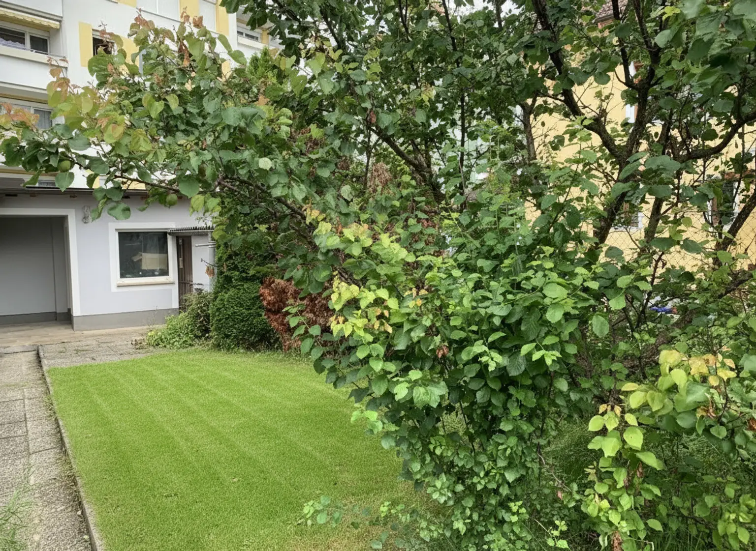 Ihr Traum-Einfamilienhaus in Tulln: 9 Zimmer, Garten, Terrasse – jetzt für 700.000 € - auch als Büro/Praxis geeignet!