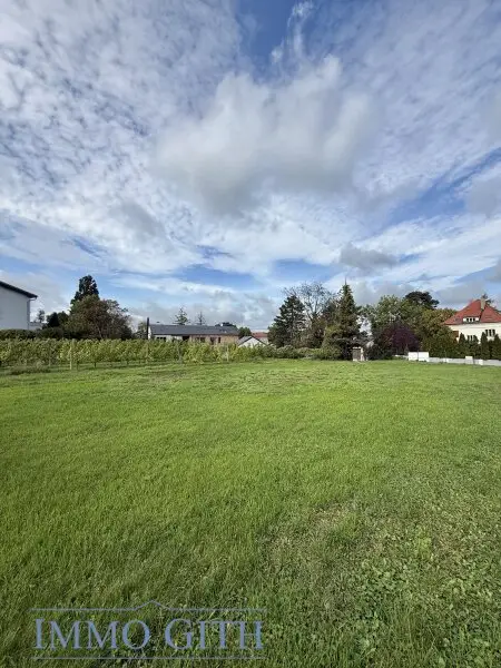 SONNE, WEIN & WEITBLICK – 735 m² BAUGRUNDSTÜCK DIREKT AM WEINGARTEN IN KLOSTERNEUBURG ZU KAUFEN!
