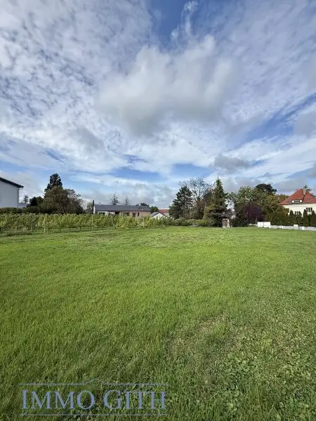 SONNE, WEIN & WEITBLICK – 735 m² BAUGRUNDSTÜCK DIREKT AM WEINGARTEN IN KLOSTERNEUBURG ZU KAUFEN!